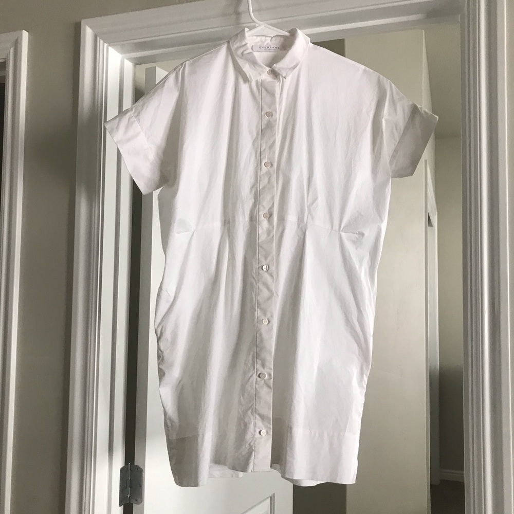 Darling Everlane Button Down Dress.
